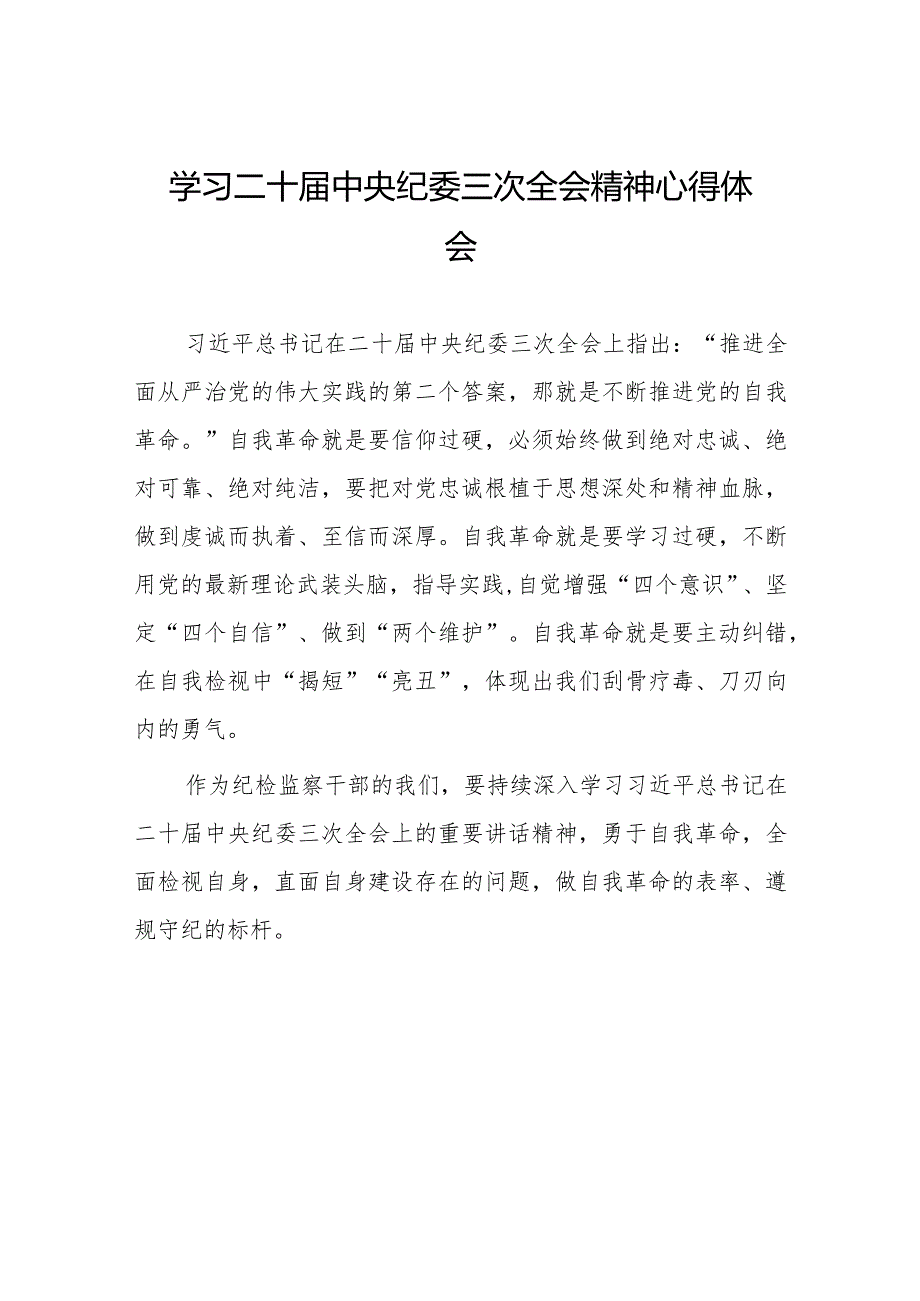 纪检干部关于学习二十中央纪委三次全会精神心得体会发言稿十九篇.docx_第1页