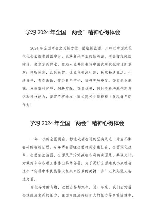 2024年全国两会精神的学习感悟二十篇.docx