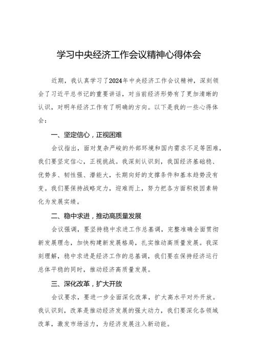 学习2024年中央经济工作会议的心得体会11篇.docx