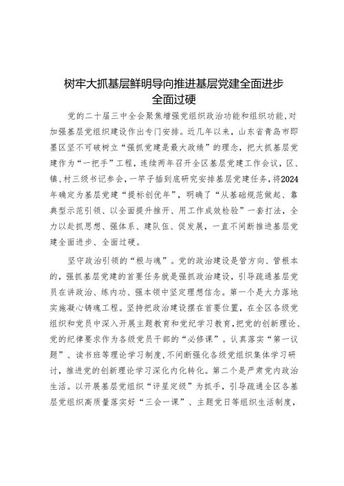 树牢大抓基层鲜明导向推动基层党建全面进步全面过硬.docx