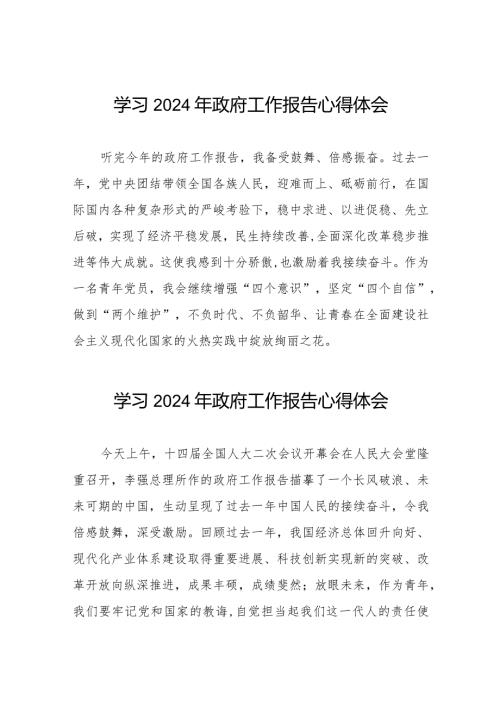 青年党员2024两会政府工作报告的学习心得体会二十篇.docx