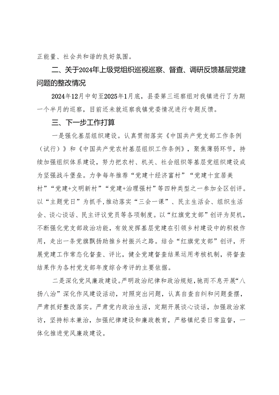 乡镇2024基层党建工作整改报告 (3).docx_第3页