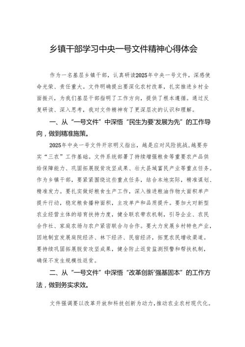 学习2025中央一号文件精神心得体会、研讨发言 5篇.docx