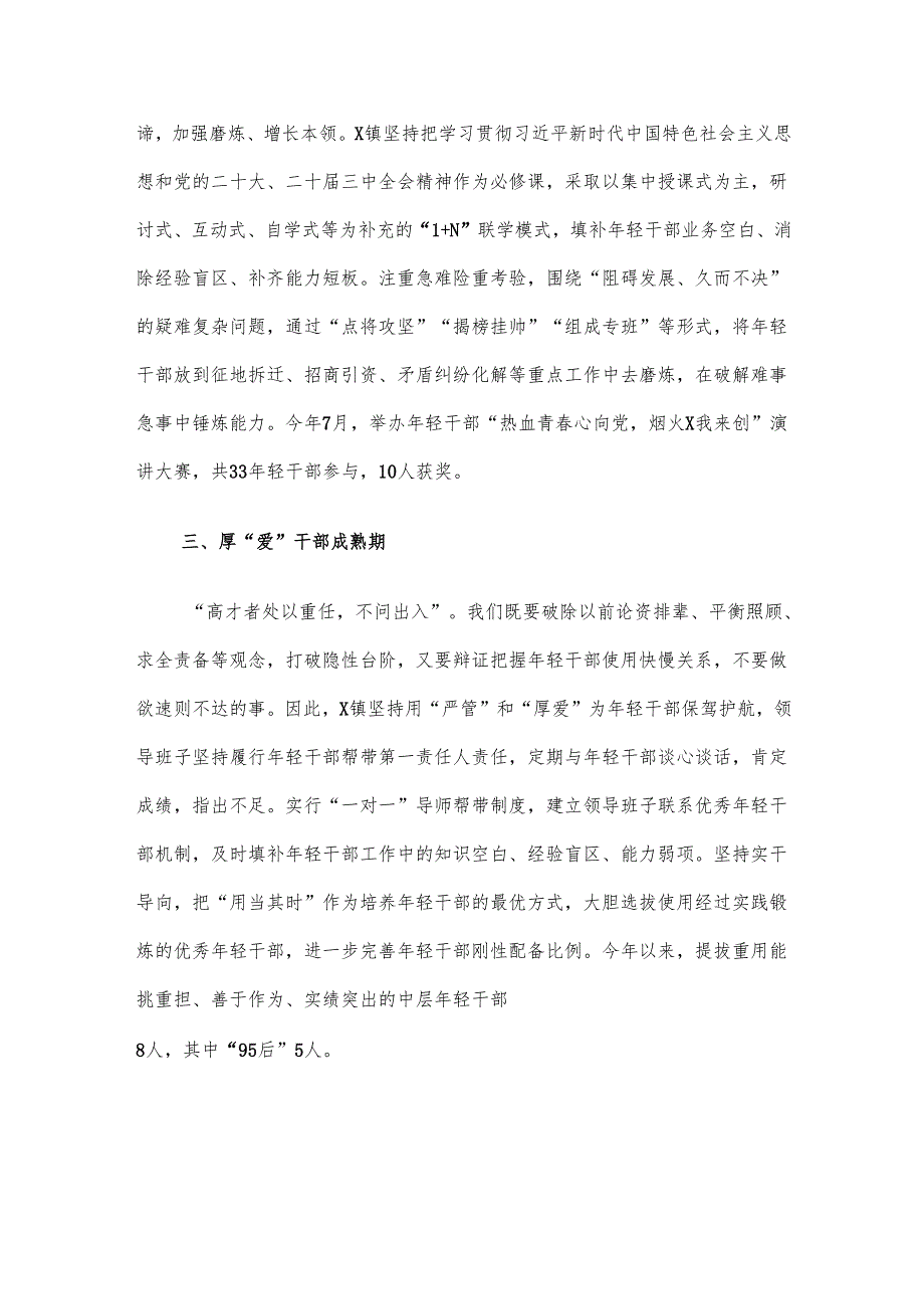 镇书记关于干部队伍建设的汇报交流发言.docx_第2页