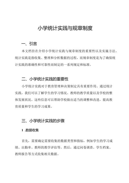 小学统计实践与规章制度.docx