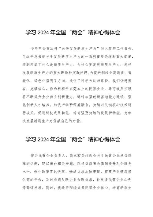 企业学习2024年全国“两会”精神心得体会二十篇.docx