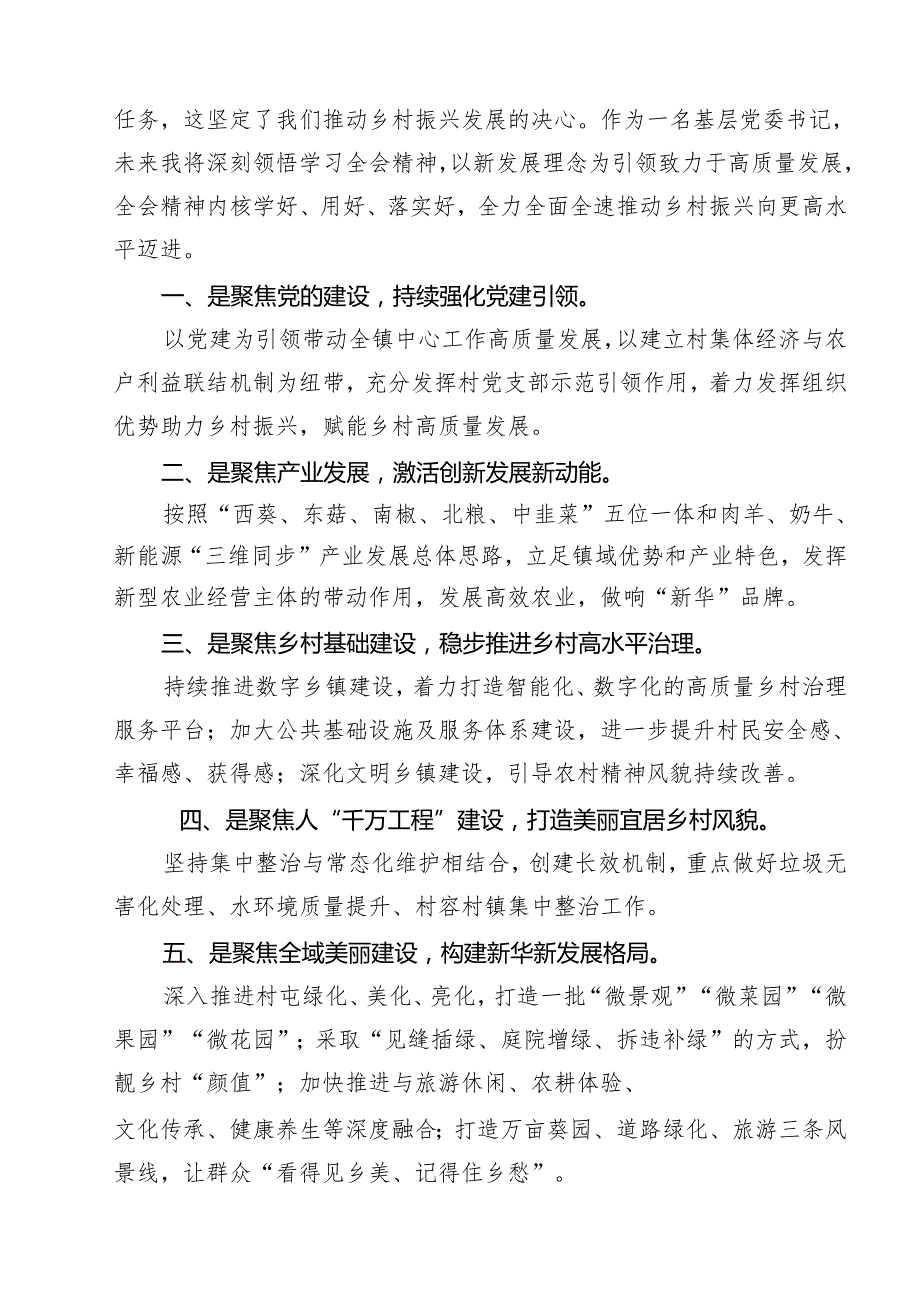 乡镇党委书记学习党的二十三中全会精神心得体会研讨发言12篇（精选）.docx_第2页