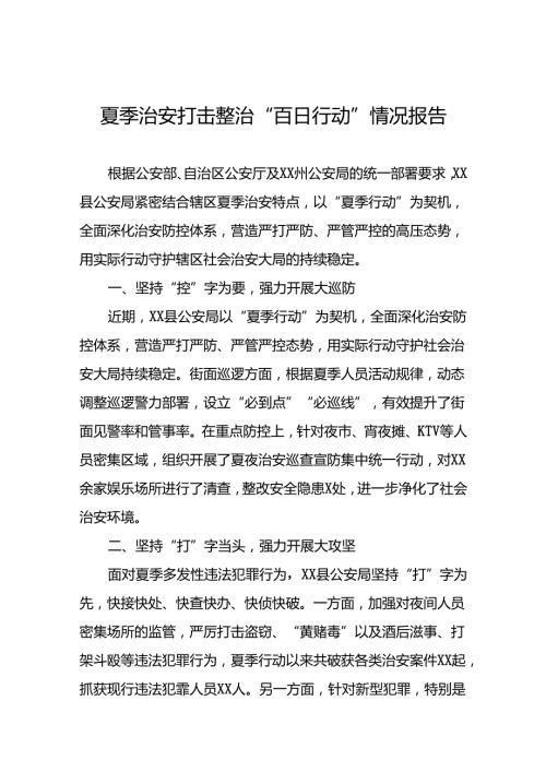 2024年公安“夏季行动”情况报告十篇.docx