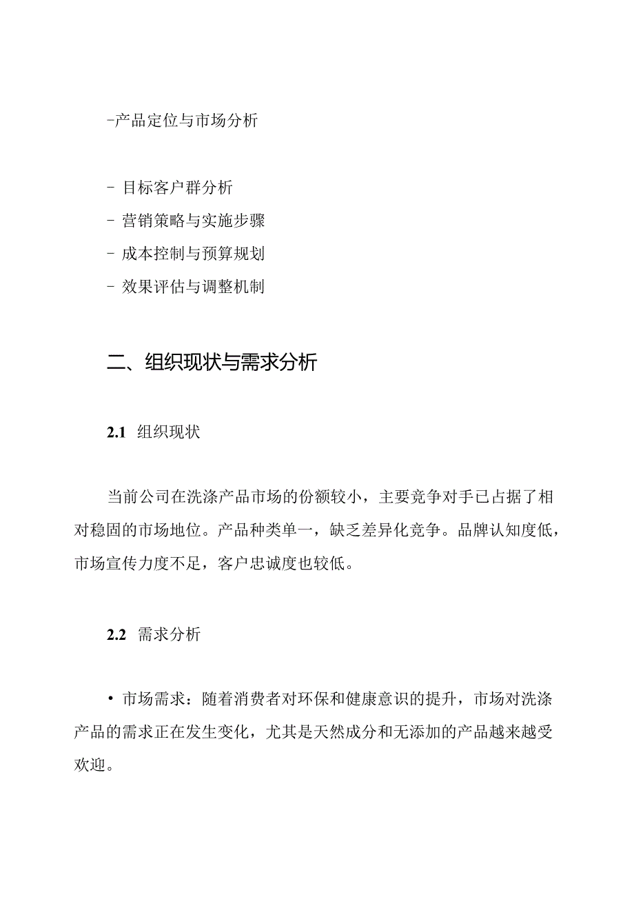 洗涤产品策划方案.docx_第2页