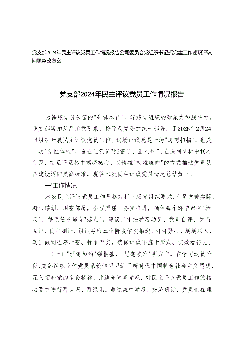 党支部2024年民主评议党员工作情况报告+公司委员会党组织书记抓党建工作述职评议问题整改方案.docx_第1页