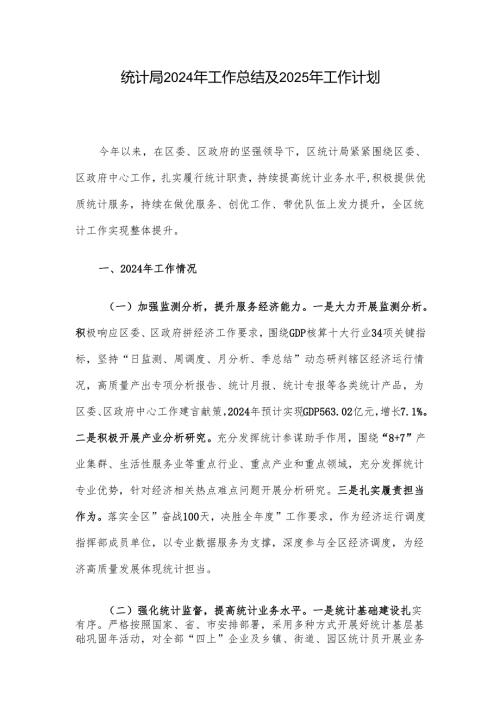 统计局2024年工作总结及2025年工作计划.docx