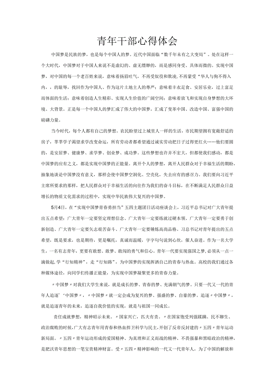青年干部演讲稿.docx_第1页