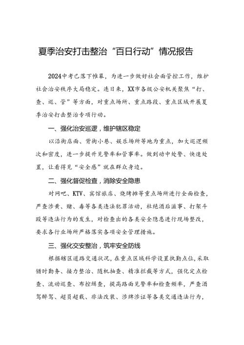 公安2024开展夏季治安打击整治行动总结报告三篇.docx