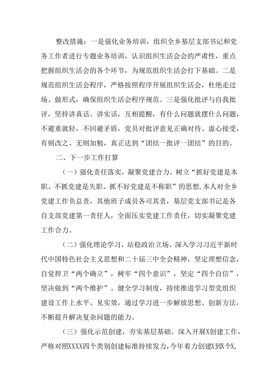 乡镇2024基层党建工作整改报告.docx_第3页