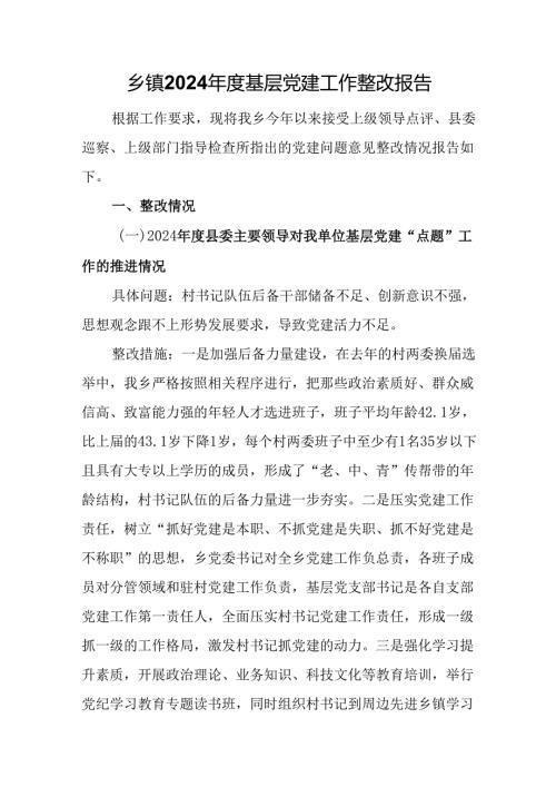 乡镇2024基层党建工作整改报告.docx