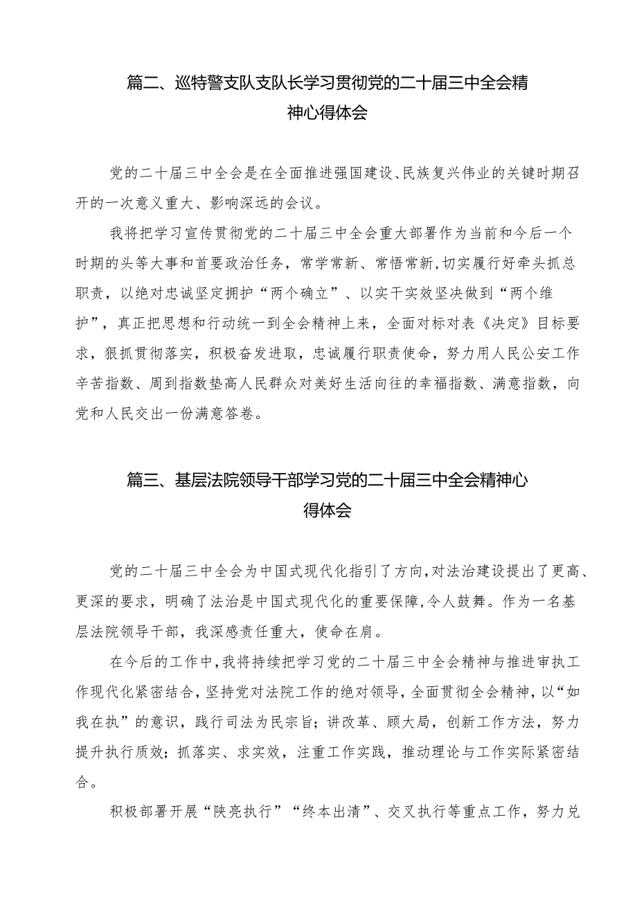 （13篇）执行干警学习贯彻党的二十三中全会精神心得体会（精选）.docx_第2页