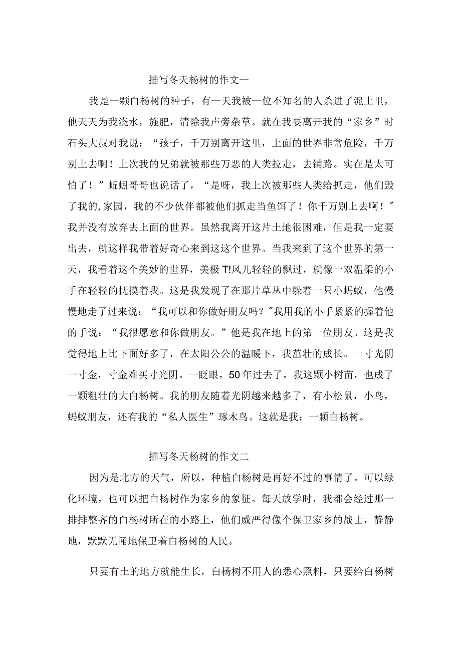 描写冬天杨树的优秀作文3篇.docx_第1页