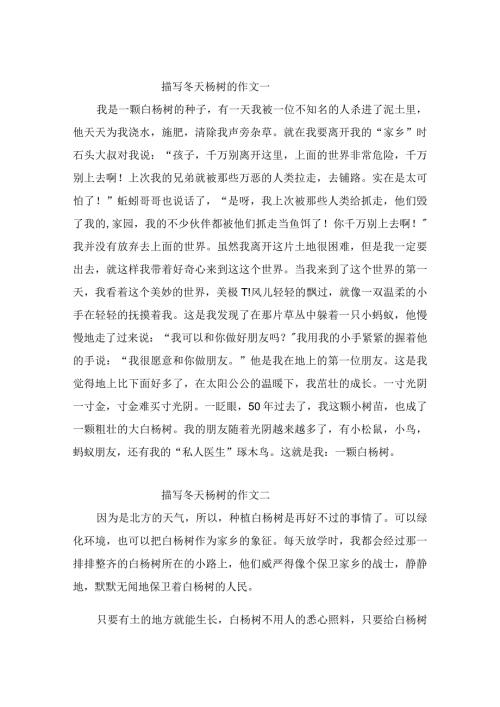描写冬天杨树的优秀作文3篇.docx