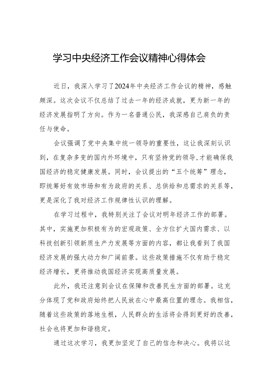 八篇关于学习贯彻2024年中央经济工作会议精神的心得体会发言稿.docx_第1页
