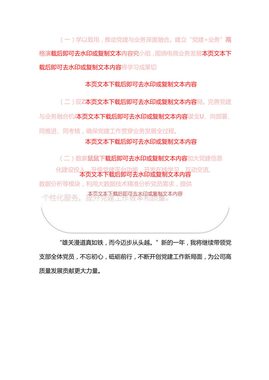 2025 年公司党支部书记抓基层党建工作述职报告（精选）.docx_第3页