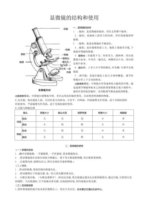 显微镜的结构和使用.docx