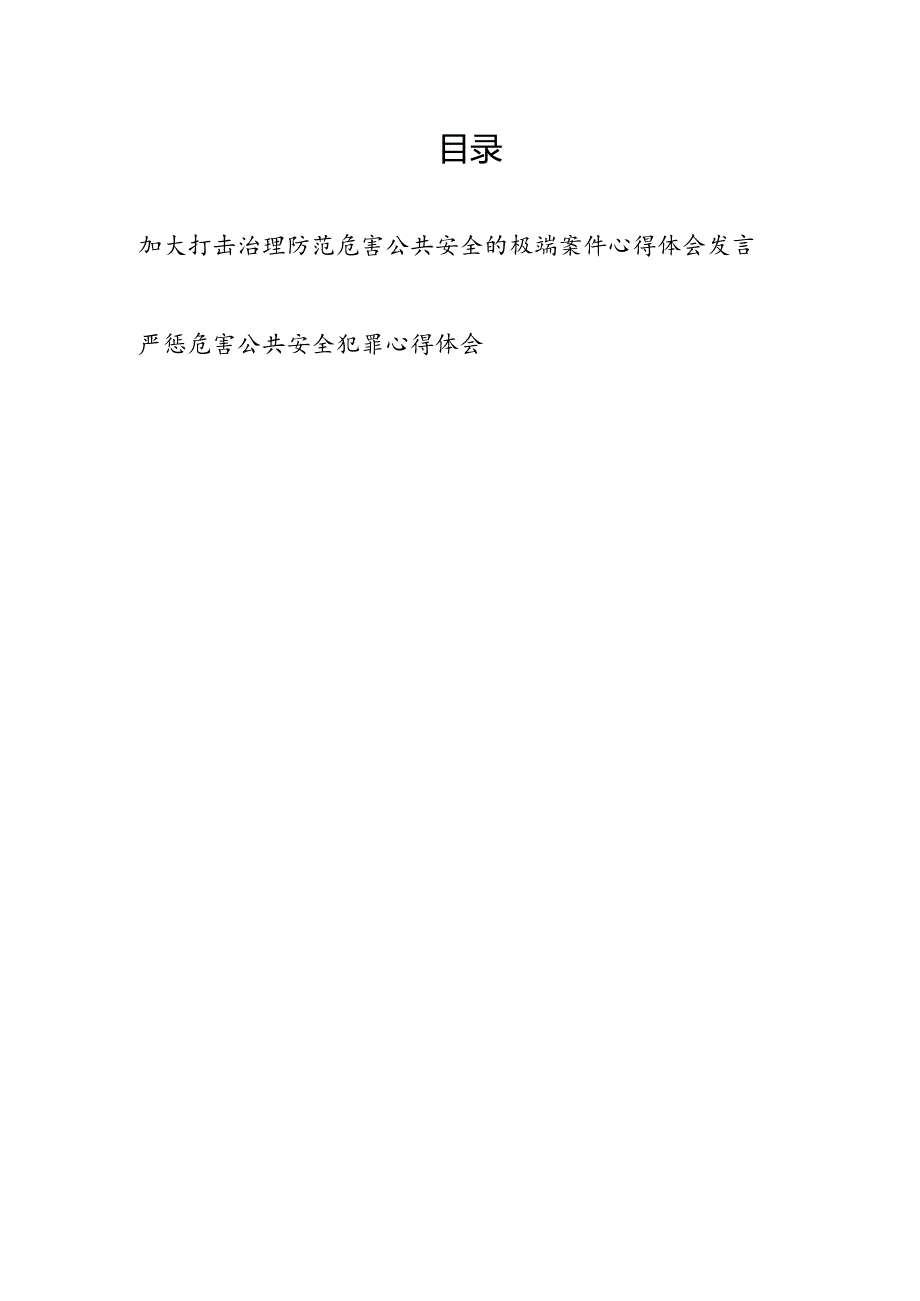 2025严惩危害公共安全犯罪心得体会研讨发言2篇.docx_第1页