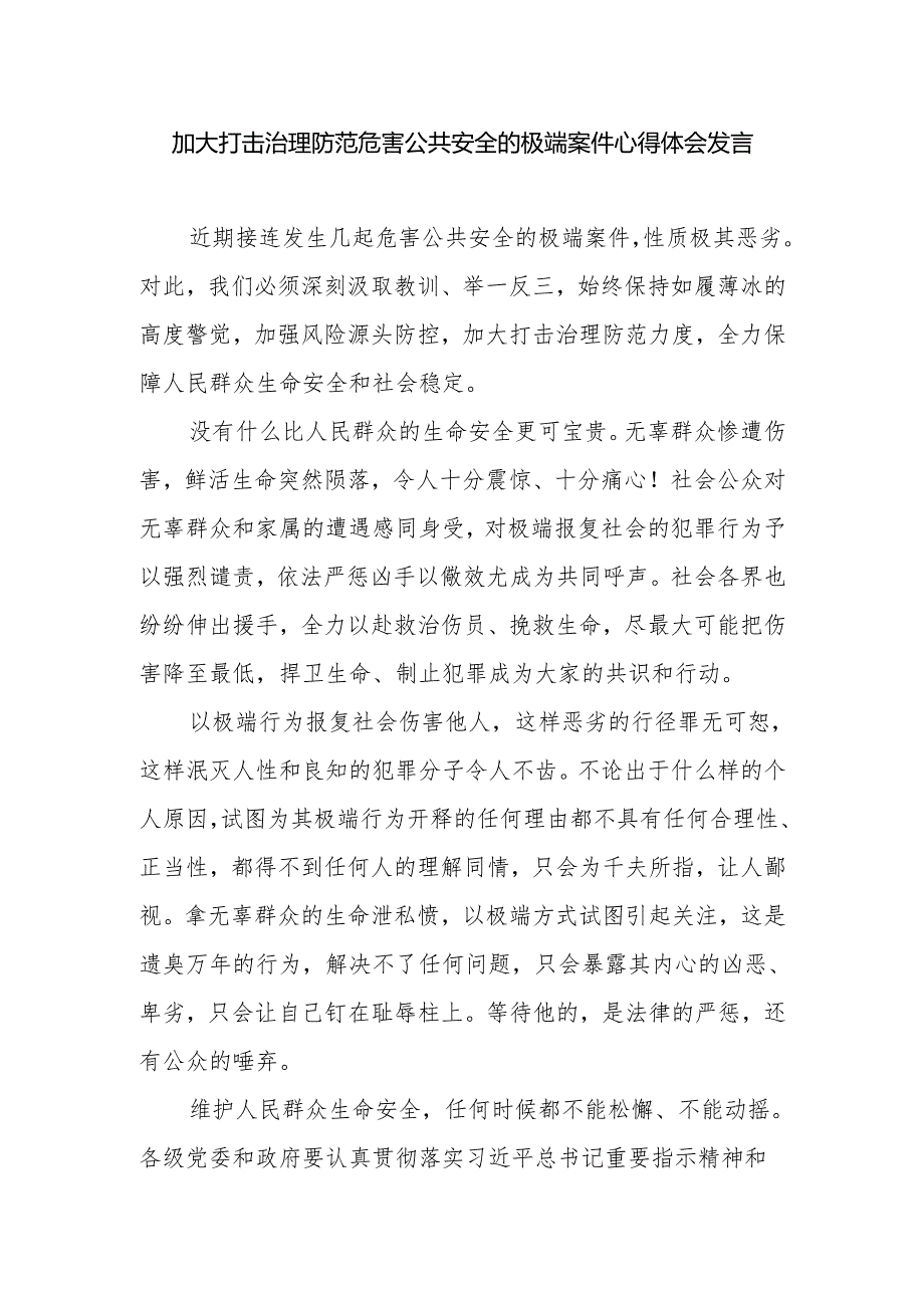 2025严惩危害公共安全犯罪心得体会研讨发言2篇.docx_第2页