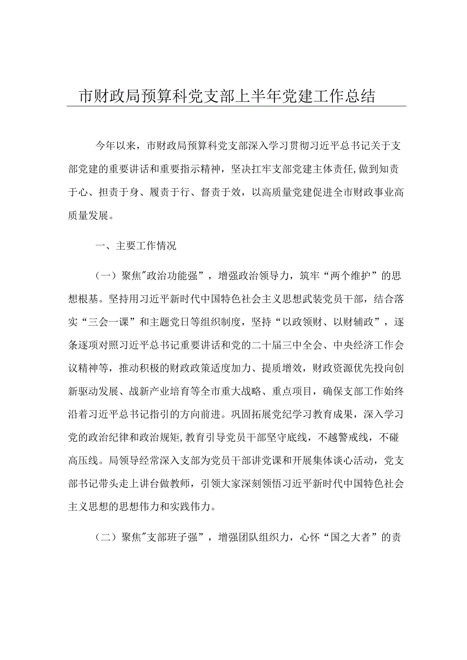市财政局预算科党支部上半年党建工作总结.docx_第1页