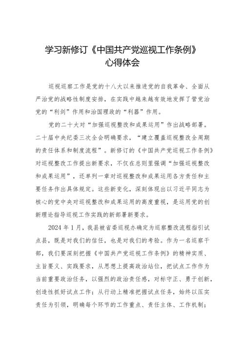巡察干部学习2024版《中国共产党巡视工作条例》心得体会(五篇).docx
