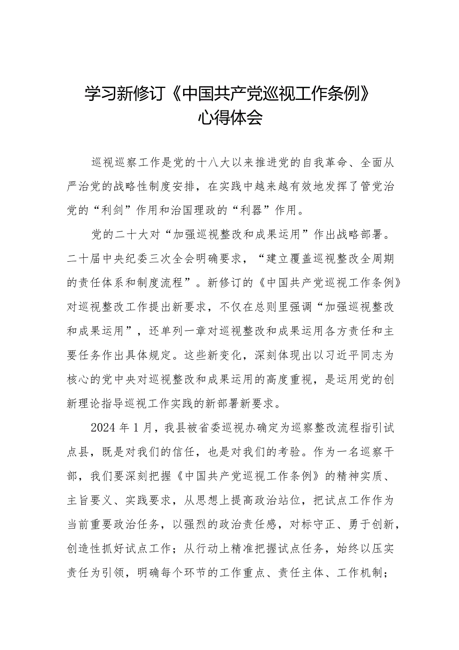 巡察干部学习2024版《中国共产党巡视工作条例》心得体会(五篇).docx_第1页