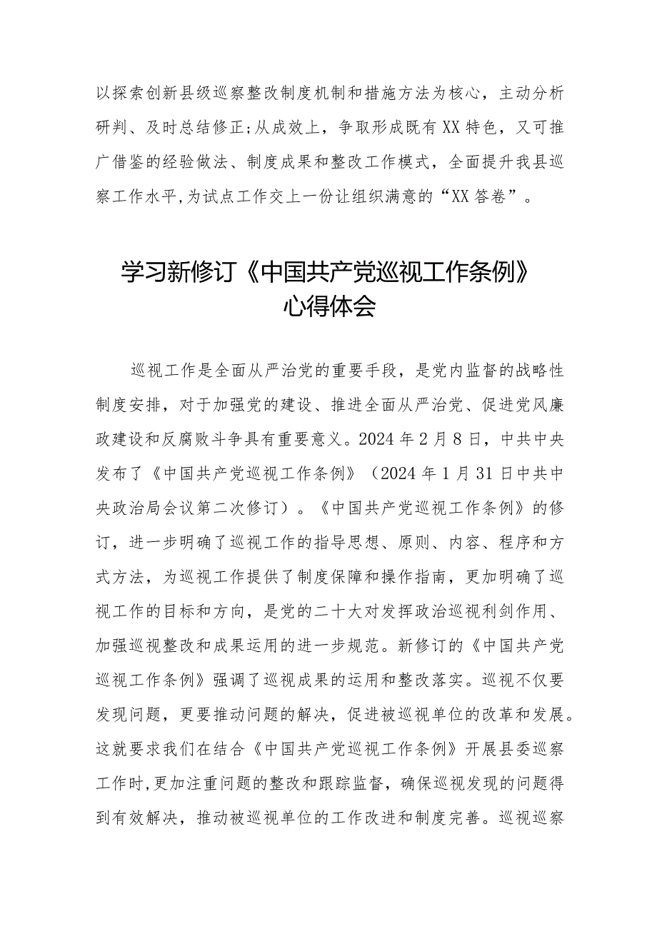 巡察干部学习2024版《中国共产党巡视工作条例》心得体会(五篇).docx_第2页