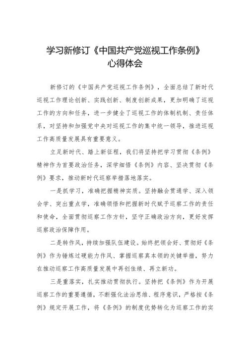 学习新修订《中国共产党巡视工作条例2024版》心得体会10篇.docx