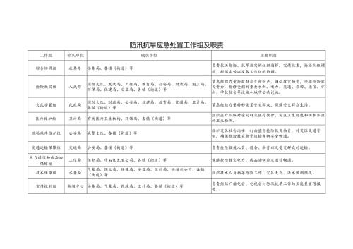 防汛抗旱应急处置工作组及职责.docx