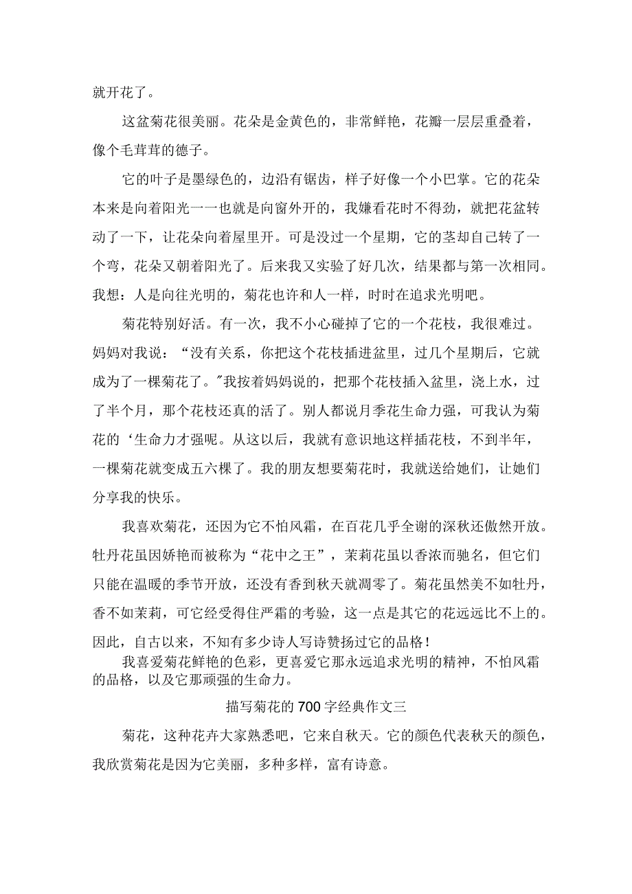 描写菊花的700字经典作文（精选3篇）.docx_第2页