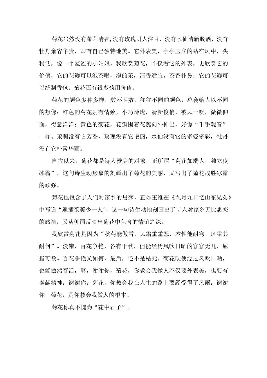 描写菊花的700字经典作文（精选3篇）.docx_第3页
