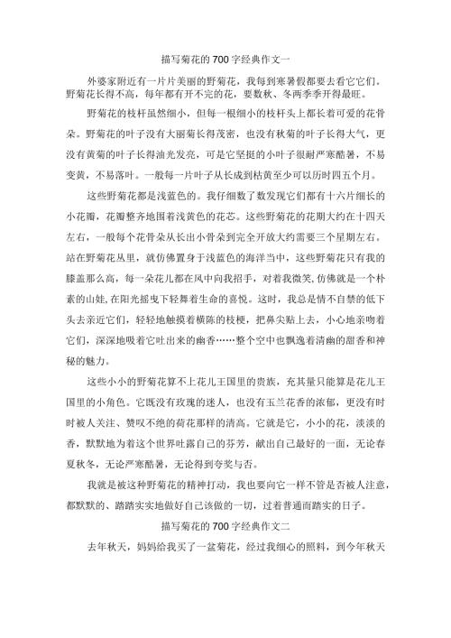 描写菊花的700字经典作文（精选3篇）.docx