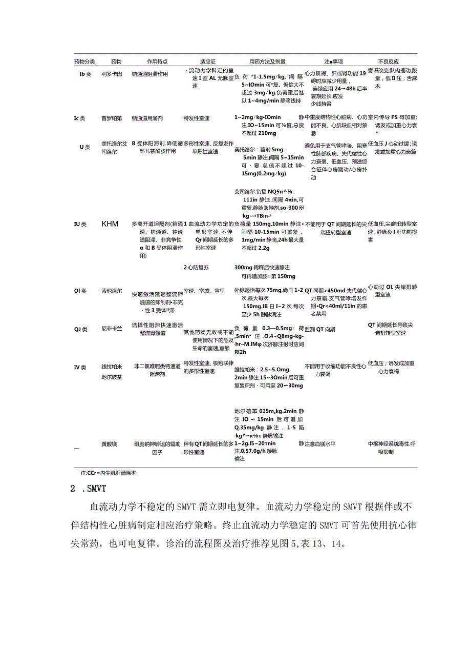 室性心律失常的急诊处理指南共识.docx_第2页