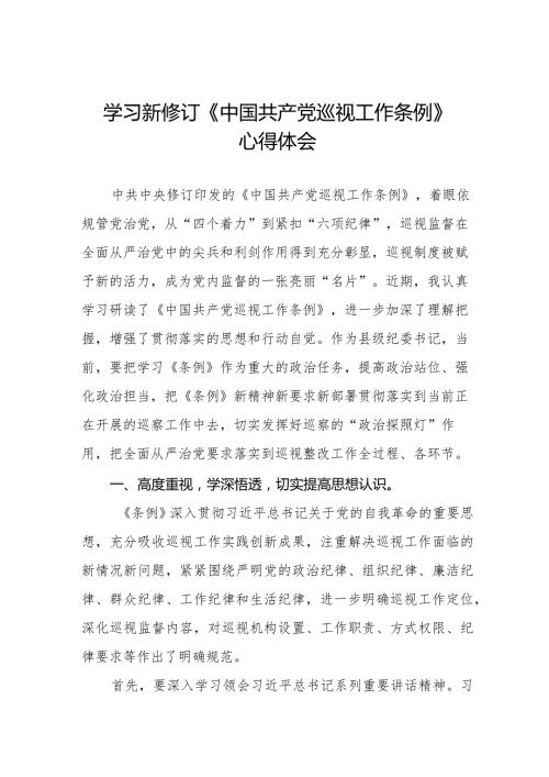六篇关于学习新修订中国共产党巡视工作条例2024版的心得体会.docx