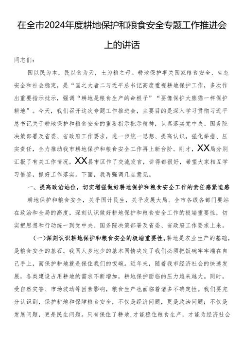 在全市2024耕地保护和粮食安全专题工作推进会上的讲话.docx