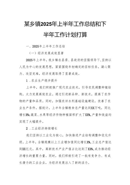 某乡镇2025年上半年工作总结和下半年工作计划打算.docx