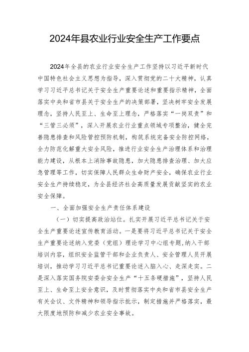 2024年县农业行业安全生产工作要点.docx