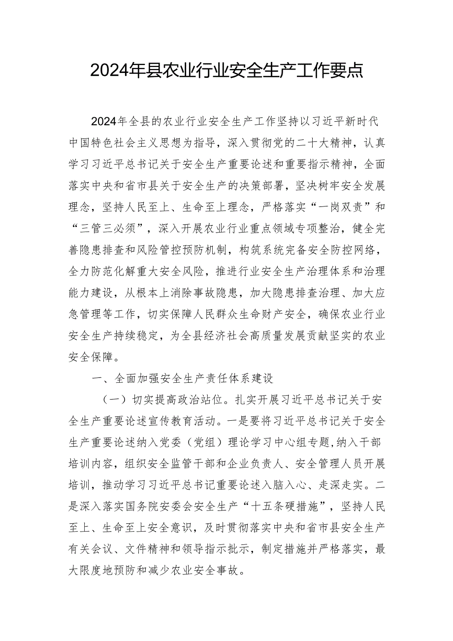 2024年县农业行业安全生产工作要点.docx_第1页