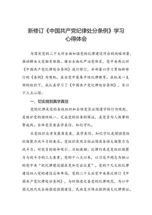 2024新修订中国共产党纪律处分条例六项纪律研讨发言学习体会七篇.docx