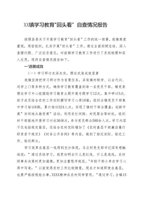 通用版2025年”回头看”自查情况报告资料合集.docx