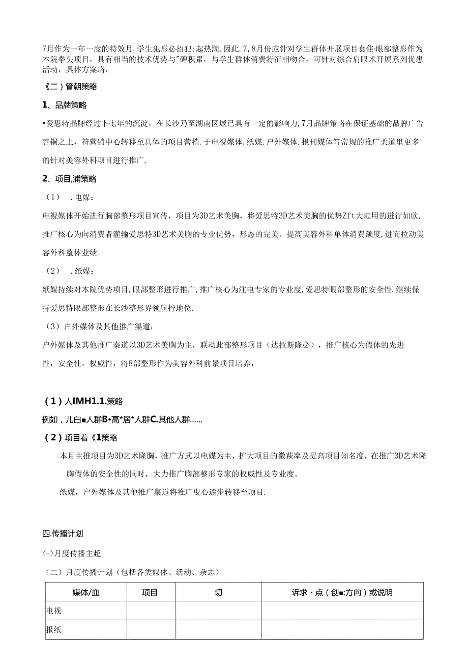 医美整形医院项目营销计划模板.docx_第2页