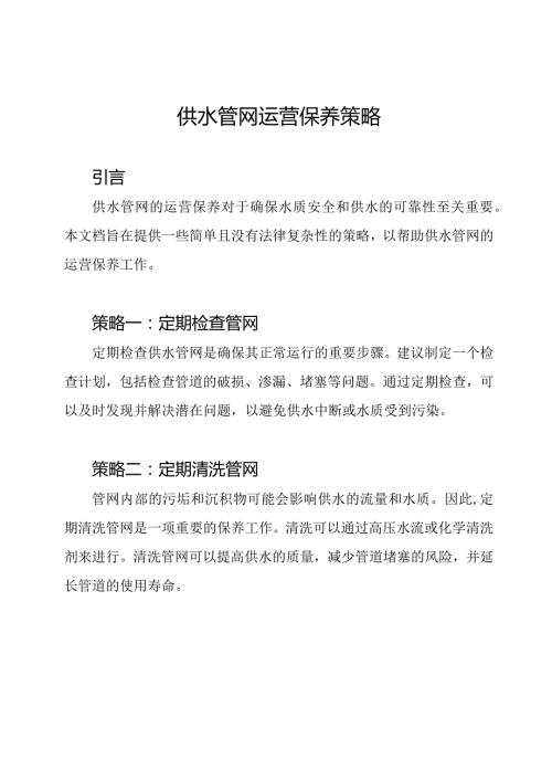 供水管网运营保养策略.docx
