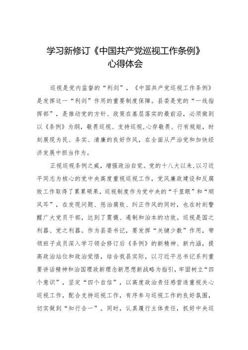 2024年学习新修订《中国共产党巡视工作条例》心得体会(五篇).docx