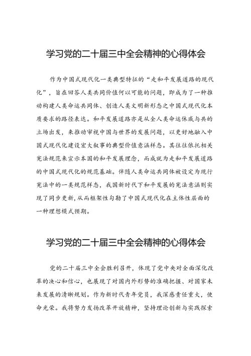 党的二十三中全会精神学习心得交流发言四十篇.docx