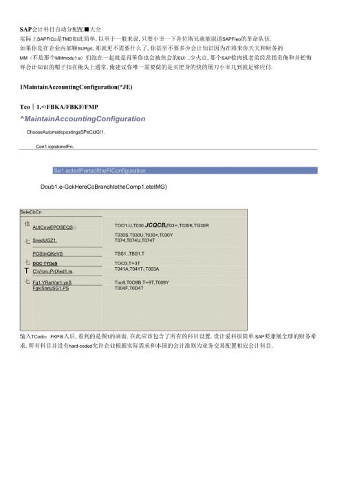 SAP会计科目自动分配配置大全.docx