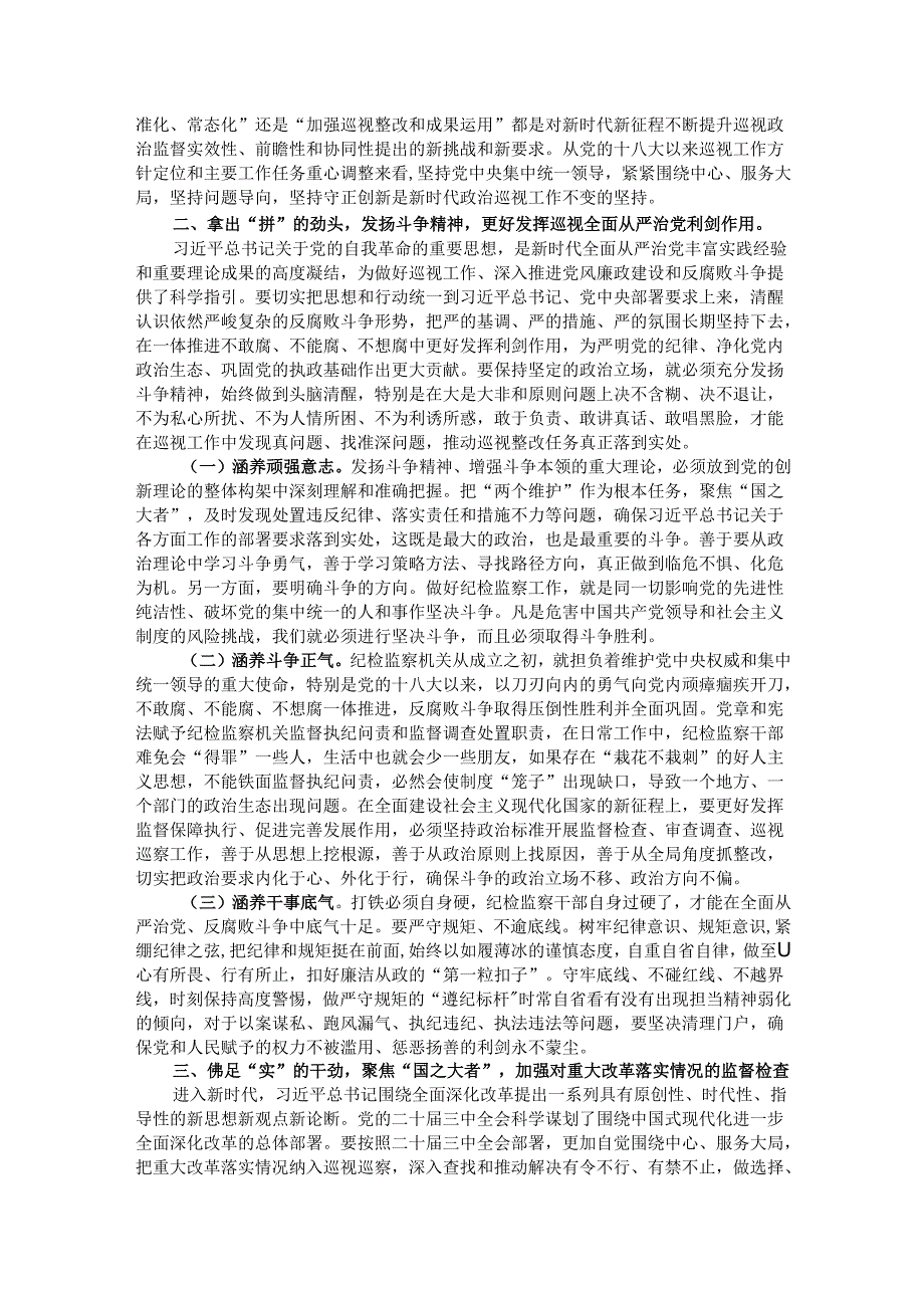 纪检监察干部在2024年四季度理论中心组上的研讨发言（自我革命、巡视）.docx_第2页